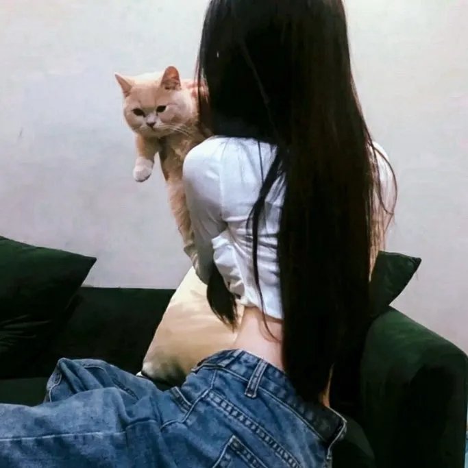 强迫男的一天